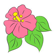 how to draw a tropical flower easy