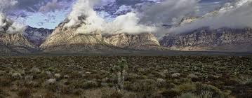 Red Rock Canyon National Conservation Area de Las Vegas | Horario, Mapa y entradas 5