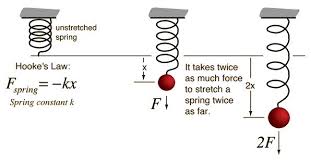 physics notes elasticity physics