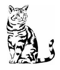 Details About Stencils Crafts Templates Scrapbooking Cat Stencil 3b A4 Mylar