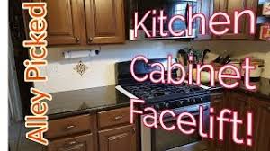 kitchen cabinet door re without