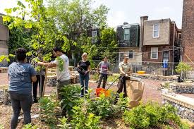 Community Garden