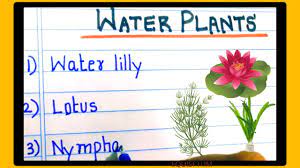 water plants name in english aquatic
