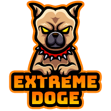 Follow the vibe and change your wallpaper every day! Extreme Doge Coin Extreme Doge Coinhunt