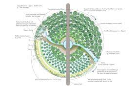 regenerative permaculture garden