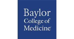 Baylor College Of Medicine Salaries By Job Title Glassdoor