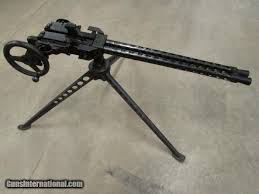 dual ruger 10 22 calico gatling gun