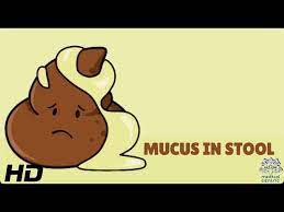 mucus in stool everything you need to