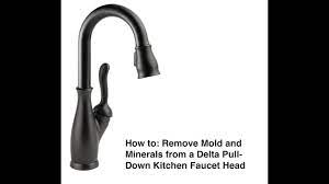 delta pull down faucet head