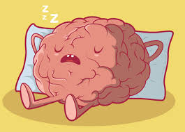 Uyuyan Beyin