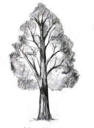 how to draw a tree happy family art