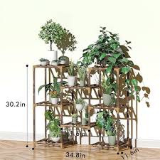 Brown Eucalyptus Wood Plant Stands