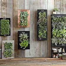 Wall Mounted Planters Are Ideal For