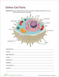 Functions Of Cell Organelles Science Worksheets Science