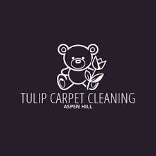 7 best silver spring carpet cleaners