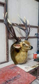 Frp Wall Hanging Deer Head Manufacturer