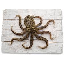 Octopus Gift Ideas