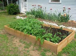 Raised Beds For Your Garden Framing