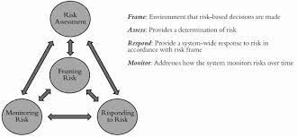risk management process adapted from