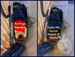 bed bugs hide in vacuum cleaners