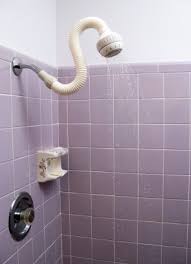 cleaning and removing mold from shower