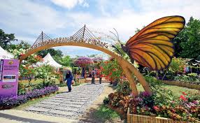 Discover kuala lumpur butterfly park in kuala lumpur, malaysia: Kl Bird Park With Butterfly Park Garden Tour Flat 10 Off