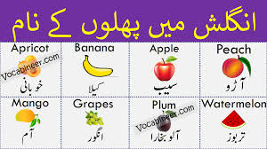 fruit names in urdu and english with