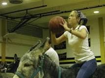 does-donkey-basketball-still-exist