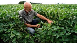 us urges farmers to plant two crops yearly