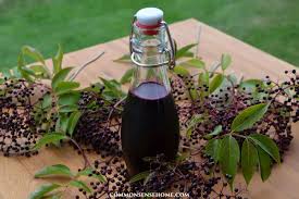 how to make elderberry syrup with fresh