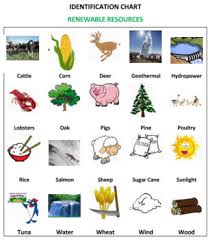 Renewable And Non Renewable Resources Board Game Volume 2