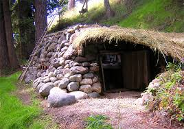 dan underground tiny home