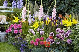 Flower Bulbs To Plant In Spring For