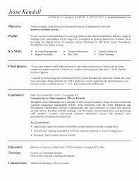 10 Sample Virtual Assistant Resume Payment Format