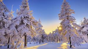 amazing winter landscape 1080p 2k 4k