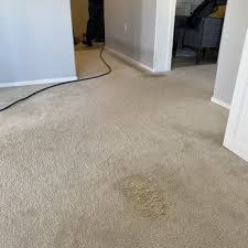 sparkle carpet steam cleaning 39