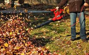 The 6 Best Corded Leaf Blowers Reviews Buying Guide 2019