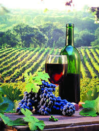 tips for wine tasting in napa valley