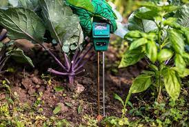 best soil moisture meters ing