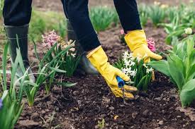 Preparing Your Soil For A Spring Garden