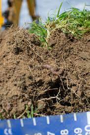 soil quality and nutrients teagasc