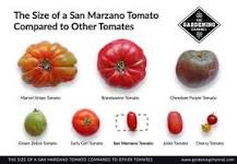 Are San Marzano tomatoes similar to Roma?