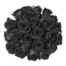 tinted roses 50 stems of 50 cm black