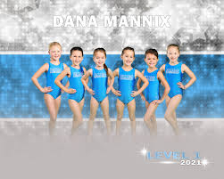 recreational dana mannix gymnastics