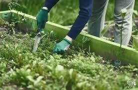 12 top tips to prepare your garden for