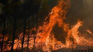 Incendies en France: 17.000 hectares brûlés en Gironde - Le Soir