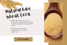 wheat germ the great source of