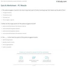 quiz worksheet pc muscle study com