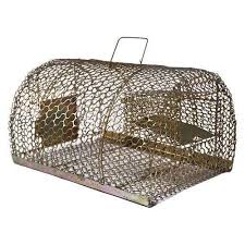 rat cages for home purpose