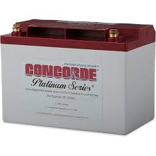 Concorde Rg 35axc Platinum Series Sealed Lead Acid Aircraft Battery